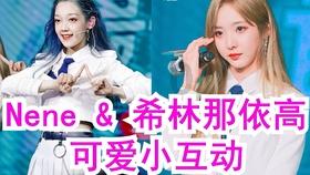 6款新机的实力如何?
